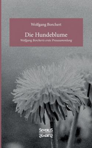 Könyv Hundeblume Wolfgang Borchert