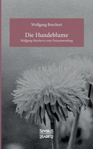 Libro Hundeblume Wolfgang Borchert