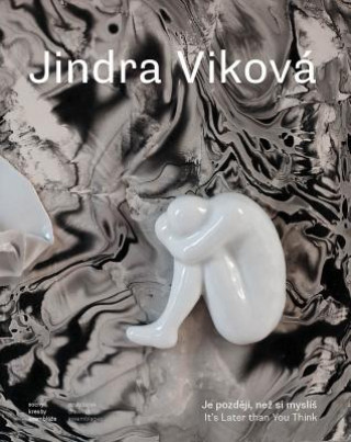 Kniha Jindra Viková Jindra Viková