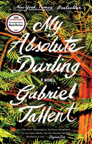 Könyv My Absolute Darling Gabriel Tallent