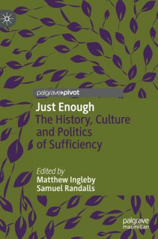 Buch Just Enough Matthew Ingleby