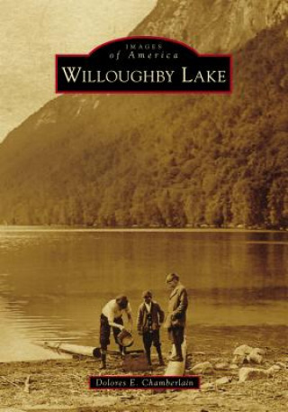 Buch Willoughby Lake Dolores E Chamberlain