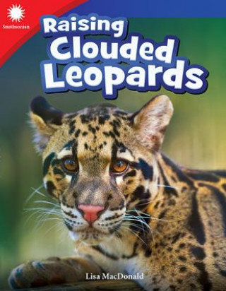 Książka Raising Clouded Leopards Lisa Macdonald