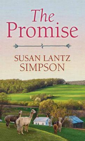 Kniha The Promise Susan Lantz Simpson