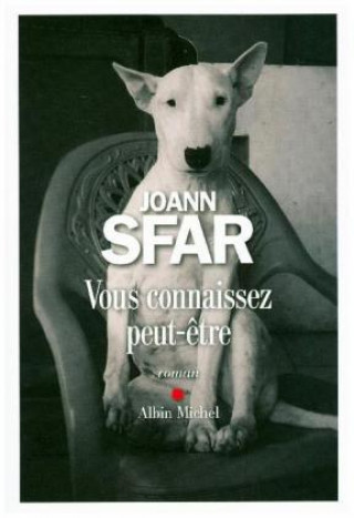 Kniha Vous connaissez peut-etre Joann Sfar