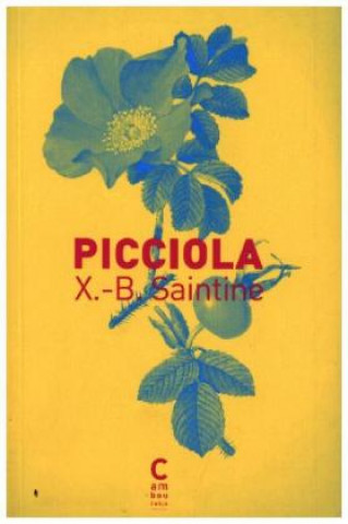 Book Picciola XB Saintine