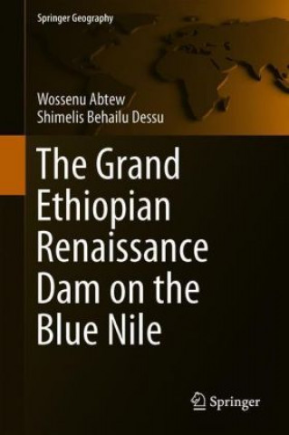 Könyv Grand Ethiopian Renaissance Dam on the Blue Nile Wossenu Abtew