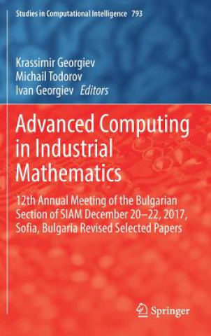 Könyv Advanced Computing in Industrial Mathematics Krassimir Georgiev