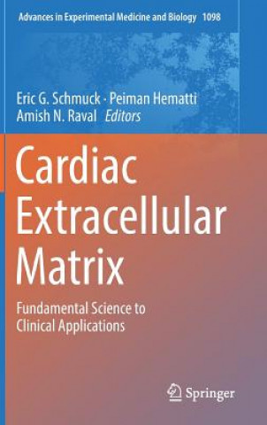 Kniha Cardiac Extracellular Matrix Eric Schmuck