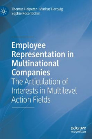 Kniha Employee Representation in Multinational Companies Thomas Haipeter