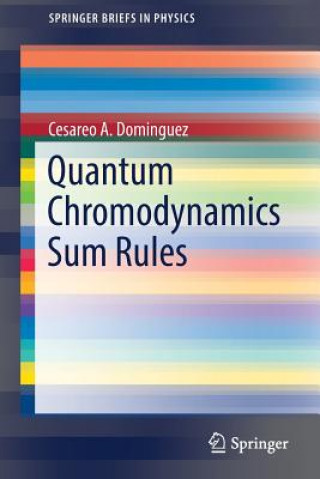 Knjiga Quantum Chromodynamics Sum Rules Cesareo A. Dominguez