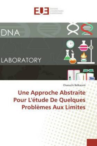 Kniha Une Approche Abstraite Pour L'étude De Quelques Probl?mes Aux Limites Chaouchi Belkacem