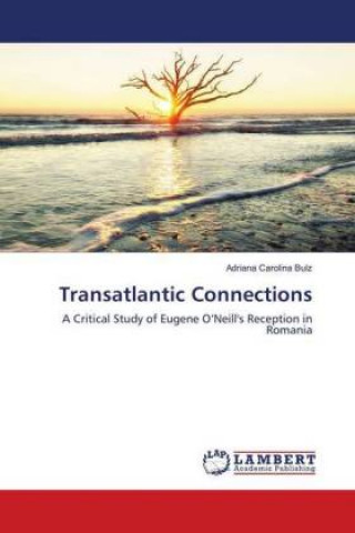 Книга Transatlantic Connections Adriana Carolina Bulz