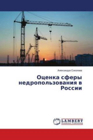 Książka Ocenka sfery nedropol'zovaniya v Rossii Alexandra Sokolova