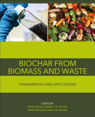 Książka Biochar from Biomass and Waste 