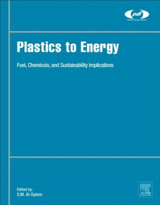 Kniha Plastics to Energy Al-Salem