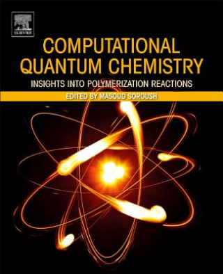 Kniha Computational Quantum Chemistry Masoud Soroush