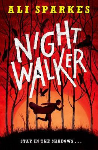 Knjiga Night Walker Ali Sparkes