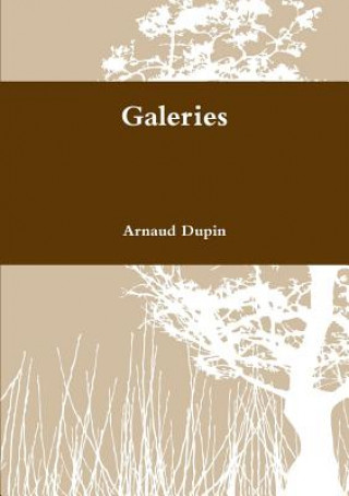 Knjiga Galeries Arnaud Dupin