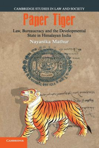 Knjiga Paper Tiger MATHUR  NAYANIKA