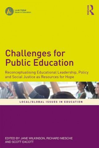 Kniha Challenges for Public Education Jane Wilkinson