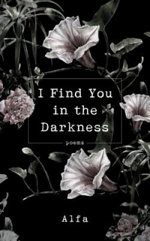 Book I Find You in the Darkness ALFA