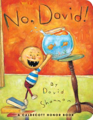 Kniha No, David! DAVID SHANNON