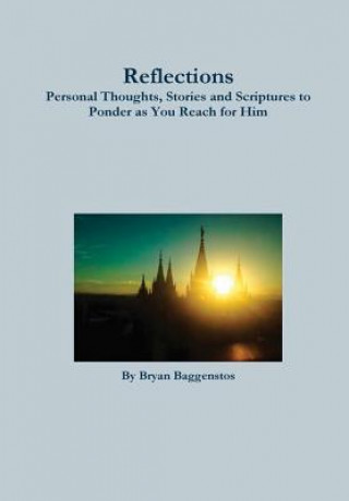 Libro Reflections BRYAN BAGGENSTOS
