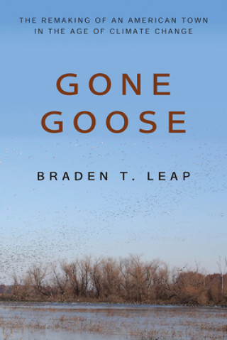 Kniha Gone Goose Braden T. Leap