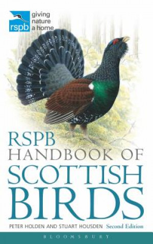 Carte RSPB Handbook of Scottish Birds HOLDEN PETER