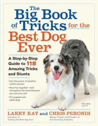 Kniha Big Book of Tricks for the Best Dog Ever Larry Kay