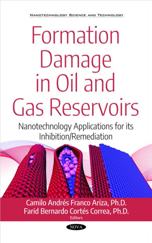 Carte Formation Damage in Oil and Gas Reservoirs 
