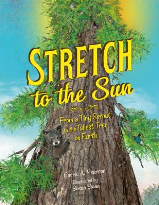 Kniha Stretch to the Sun Carrie Pearson