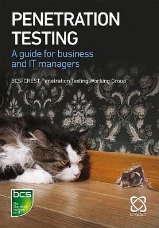 Book Penetration Testing James Hayes