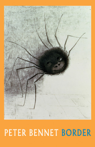 Boek Mischief Peter Bennet