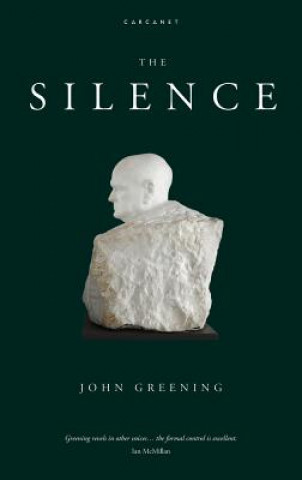 Knjiga Silence John Greening