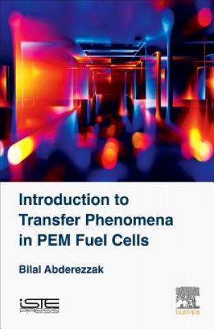 Kniha Introduction to Transfer Phenomena in PEM Fuel Cells Bilal (University of Khemis Miliana in Algeria) Abderezzak