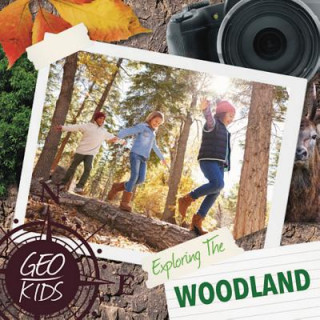 Книга Exploring the Woodland Holly Duhig