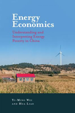 Книга Energy Economics Yi-Ming Wei