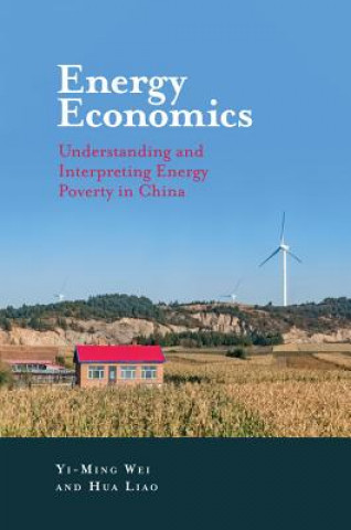 Knjiga Energy Economics Yi-Ming Wei