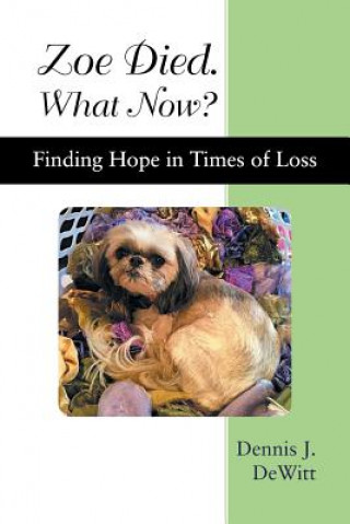 Carte Zoe Died. What Now? Dennis J DeWitt