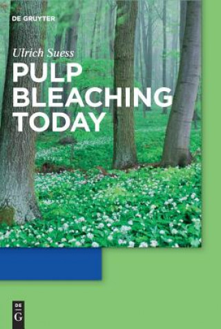 Knjiga Pulp Bleaching Today Hans Ulrich Suess