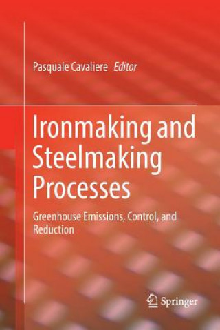 Carte Ironmaking and Steelmaking Processes PASQUALE CAVALIERE