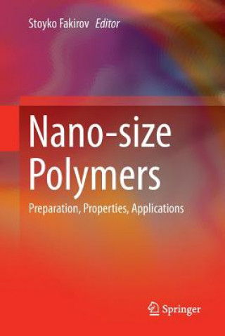 Könyv Nano-size Polymers STOYKO FAKIROV