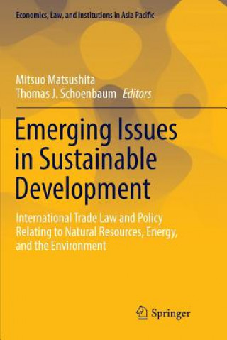 Könyv Emerging Issues in Sustainable Development MITSUO MATSUSHITA
