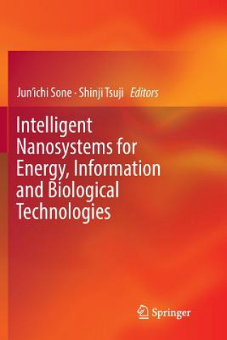 Knjiga Intelligent Nanosystems for Energy, Information and Biological Technologies JUN'ICHI SONE