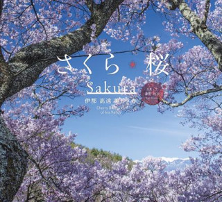 Książka Sakura Yuji Tsuno