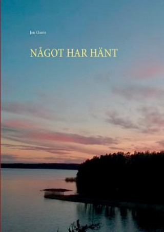 Boek Nagot Har Hant Jan Glantz