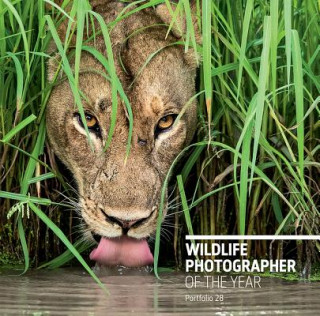 Carte Wildlife Photographer of the Year: Portfolio 28 Rosamund Kidman Cox