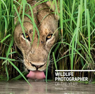 Book Wildlife Photographer of the Year: Portfolio 28 Rosamund Kidman Cox